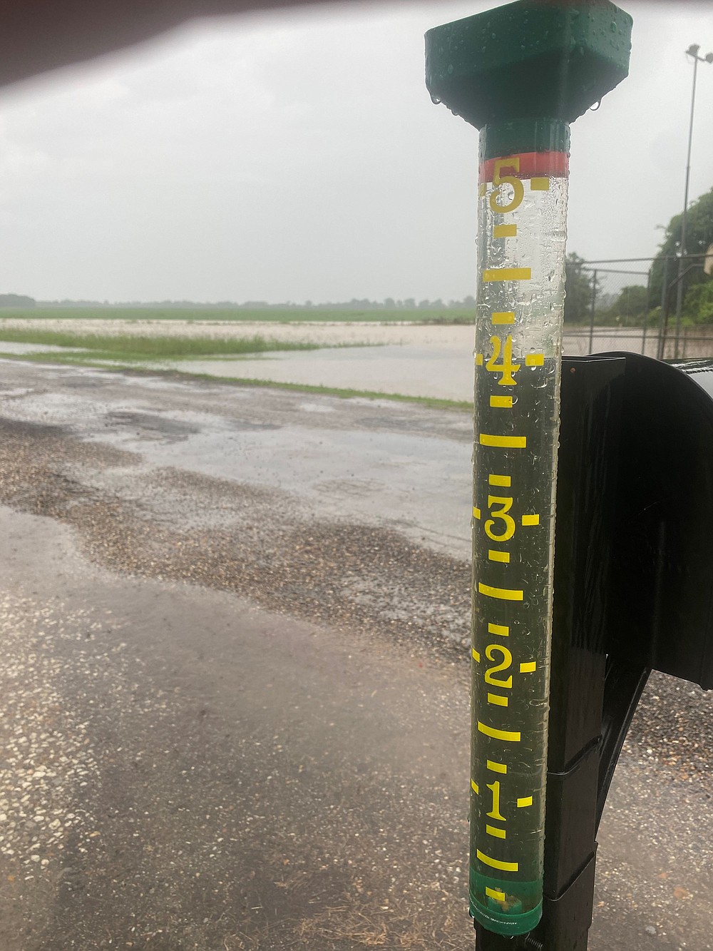 A rain gauge near Lake Chicot in Chicot County reflects the high volume of rain received Thursday in the area. (Special to The Commercial, Clay Gibson/University of Arkansas System Division of Agriculture)