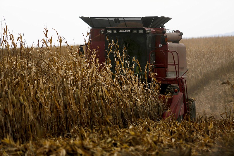 FILE - In this Dec. 4, 2017, file photo, a farmer harvests crops near Sinsinawa Mound in Wisconsin. A federal judge has halted a loan forgiveness program for farmers of color in response to a lawsuit alleging the program discriminates against white farmers. U.S. District Judge William Griesbach in Milwaukee issued a temporary restraining order Thursday, June 10, 2021, suspending the program for socially disadvantaged farmers and ranchers, the Milwaukee Journal Sentinel reported. (Eileen Meslar/Telegraph Herald via AP, File)