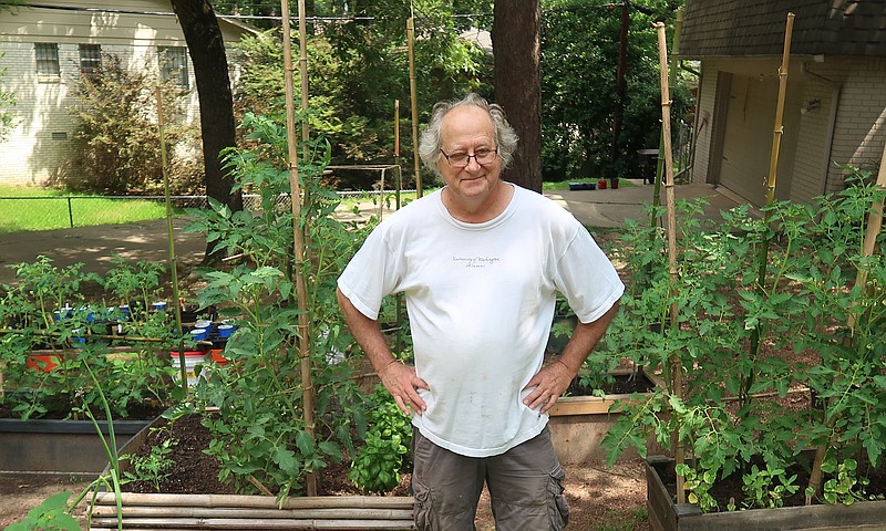 Don Ernst grows 30 to 40 varieties of tomatoes in his home garden in Little Rock even though the soil is poor and the space is shady. (Special to the Democrat-Gazette/Janet B. Carson)