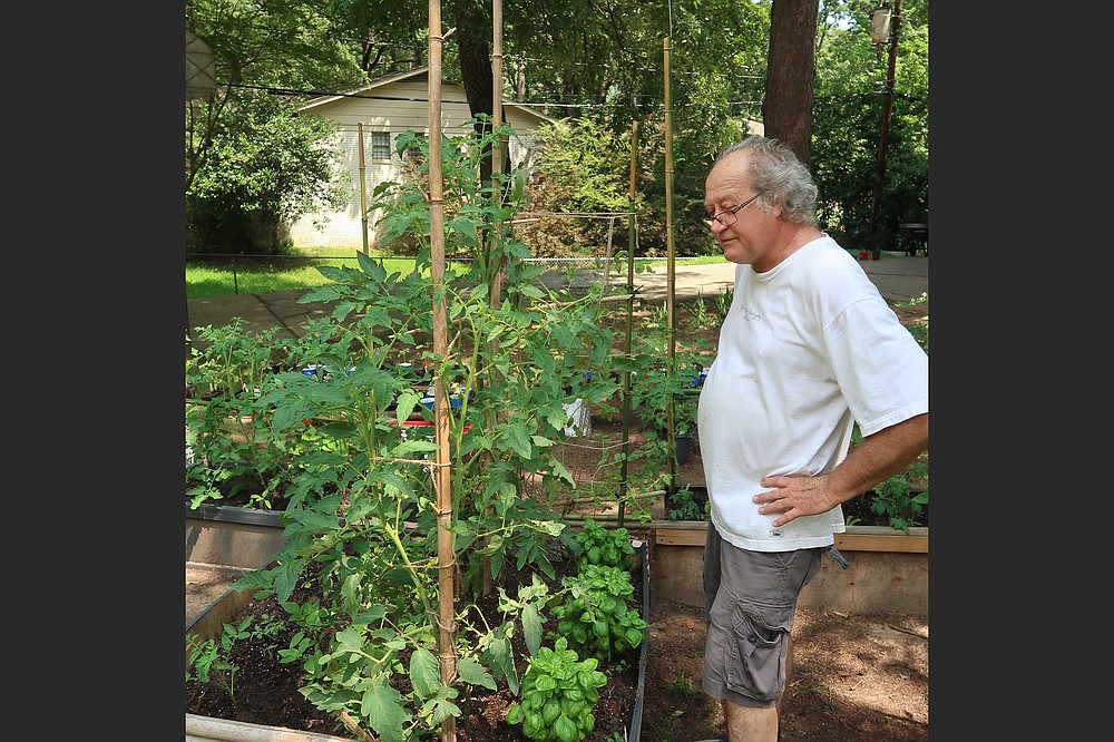 A lifelong teacher, Don Ernst began his innovative experiments with homegrown tomatoes after reading a book. (Special to the Democrat-Gazette/Janet B. Carson)