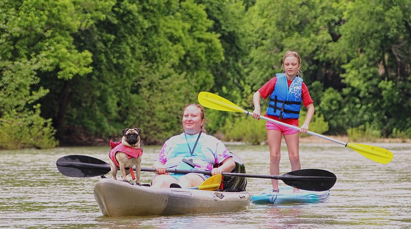 Emma the dog takes the helm as the Metcalf family paddles downstream during a three-day camping float trip May 28-30, 2021, on the lower Buffalo National River with the Arkansas Nature Lovers Meetup group. 
(Special to the Democrat-Gazette/Bob Robinson)