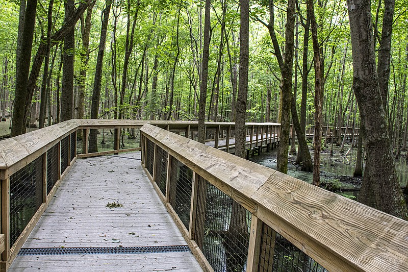 The raised barrier-free boardwalk takes Louisiana Purchase Historic State Park visitors through the swamp to the beginning point from which the Louisiana Purchase was surveyed. (Arkansas Democrat-Gazette/Cary Jenkins)