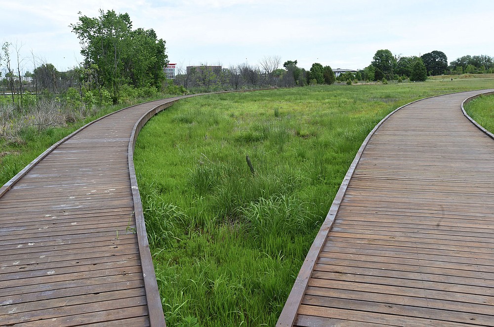 Dry and wet areas can be seen from boardwalks at the 12-acre wetland.
(NWA Democrat-Gazette/Flip Putthoff)