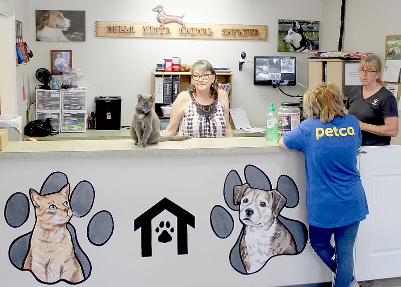 Keith Bryant/The Weekly Vista
Lilo, left, sitting on the counter, hangs out with Bella Vista Animal Shelter director Deidre Knight while Rorey Hargraves, who said she was planning to adopt a puppy, fills out adoption paperwork and speaks with shelter manager Laurie May.