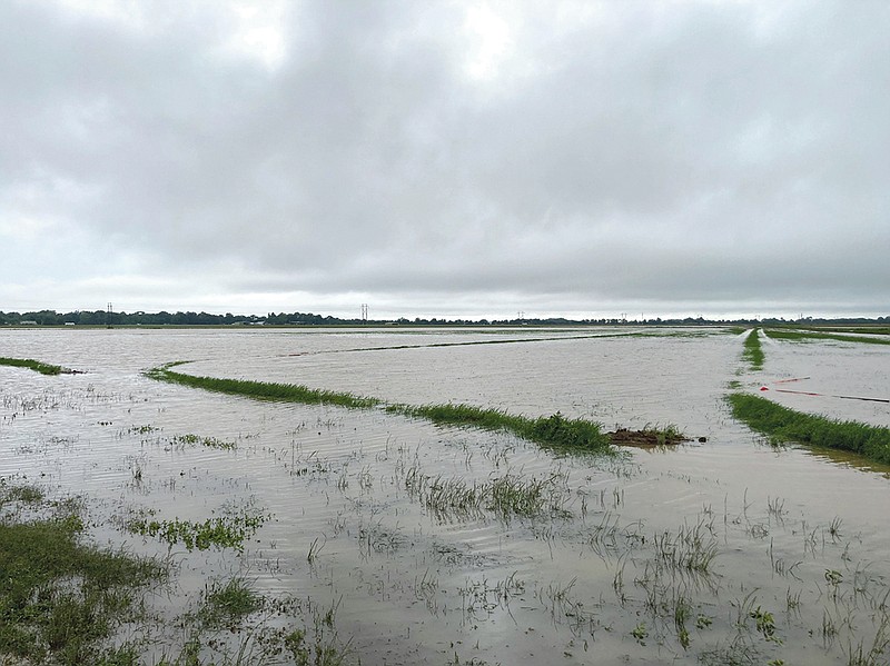 Specialists will answer crop-related questions from farmers Monday about recent flooding. This field just outside Gould was covered in water last week. 
(Pine Bluff Commercial/Byron Tate)