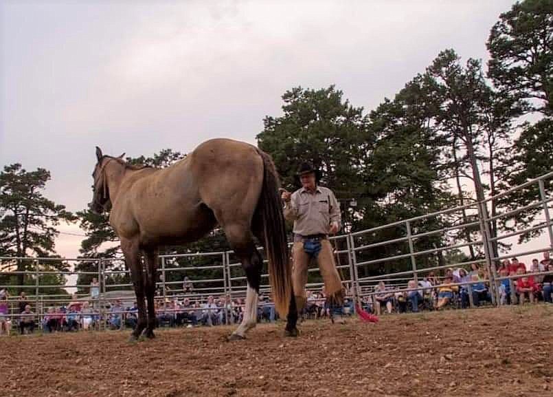 Event To Feature Free Food, Wild Horse Ministries Presentation