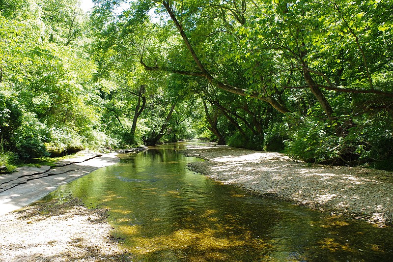 PHOTO COURTESY OF NORTHWEST ARKANSAS LAND TRUST
The late Dr. John Wasson donated 20 acres along Flint Creek, part of which is seen here, to the Northwest Arkansas Land Trust. Wasson donated the land to ensure it would remain undeveloped and available to Springtown residents and visitors for generations to come, according to a trust news release.