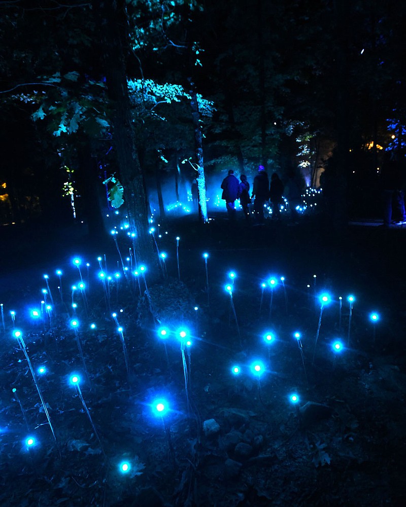 NWA Democrat-Gazette/FLIP PUTTHOFF 
Visitors see the glow at The Crystal Grove, the first experience    Oct. 26 2019   people see at North Forest Lights.