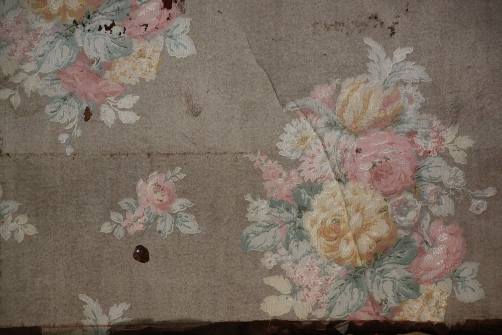 Ornate floral wallpaper was popular in the early 20th Century. This is a detail shot of the remnants of a border in Terry Shipman’s home, older than a century, in Newark in Independence County.