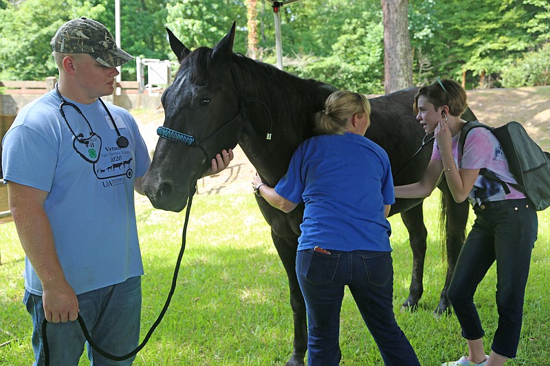 Hot Spring County 4-H member Jack Berryhill, left, holds a horse while Dr. Kelly Ross, a veterinarian, helps another camper find the horse’s heartbeat. The students were attending a one-day 4-H Vet Science Camp on June 26 at the Arkansas 4-H Center. (Special to The Commercial/Tracy Courage, University of Arkansas System Division of Agriculture)