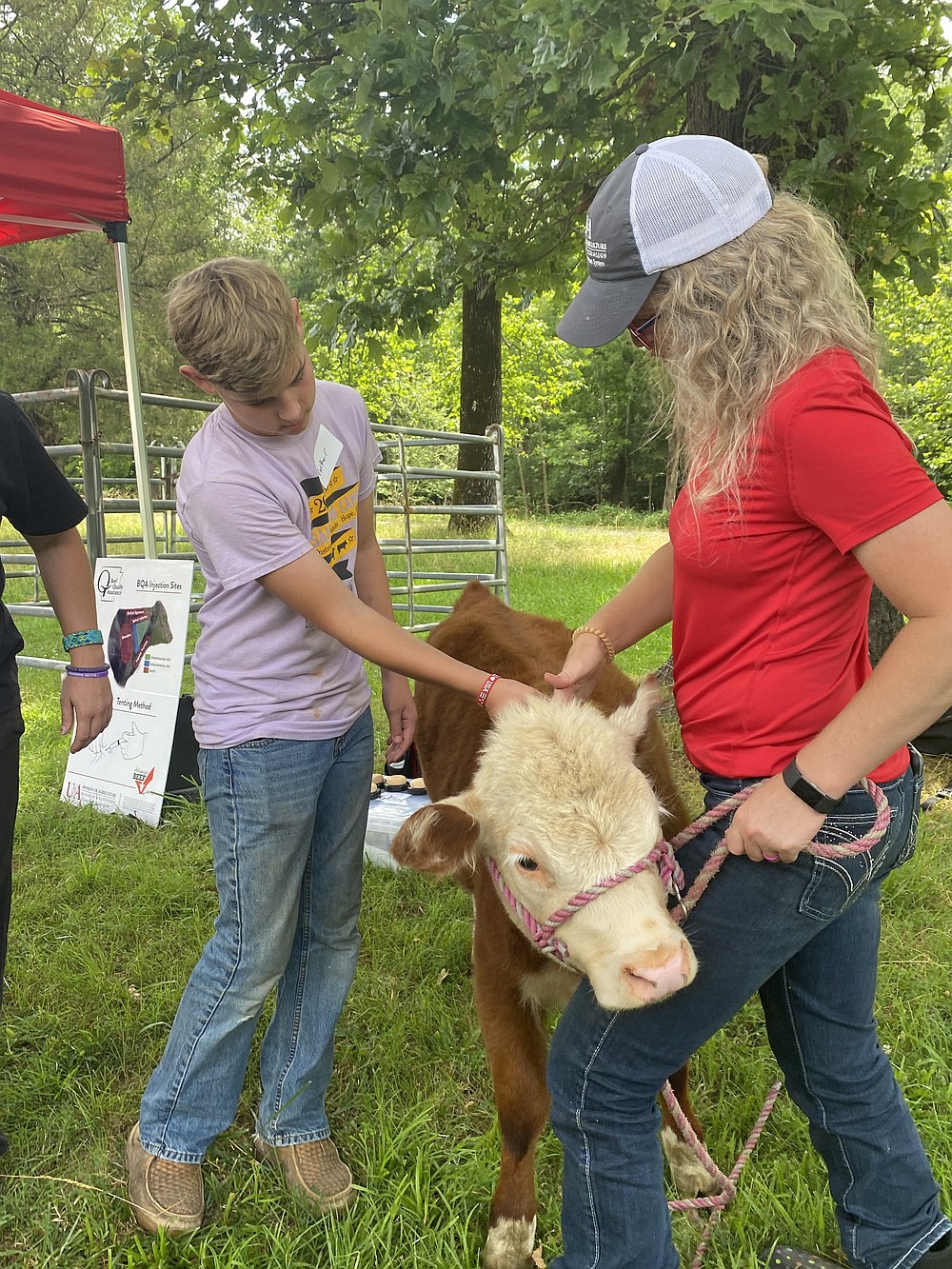 Vet camps offer handson experience