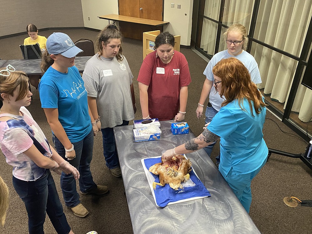 Vet camps offer handson experience