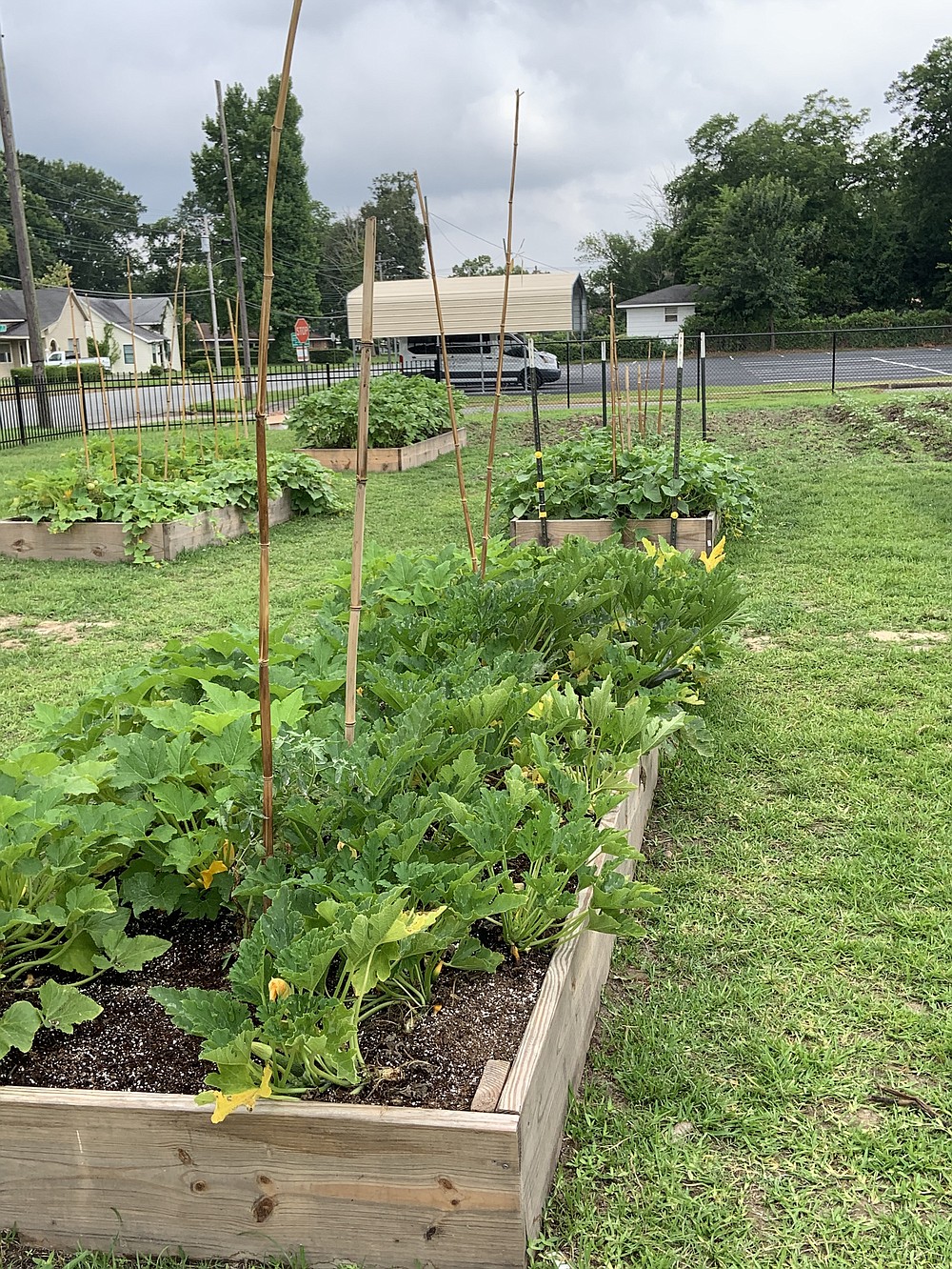 The Barraque Street Missionary Baptist Church at Pine Bluff is an example of an organization that recently sought the assistance of the University of Arkansas at Pine Bluff in setting up a community garden. (Special to The Commercial/University of Arkansas at Pine Bluff)