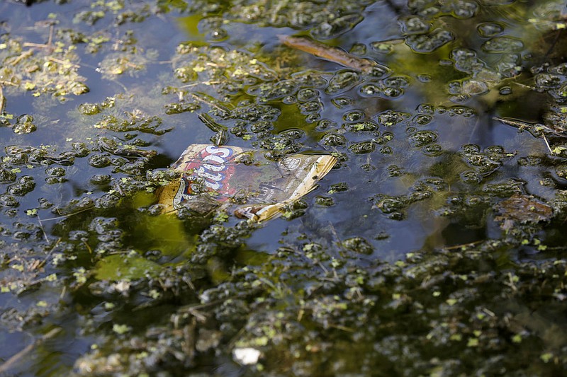 Rubbish is visible floating Wednesday, July 7, 2021, on the north side of Lake Fayetteville. The city has partnered with a consultant on a water quality study for the lake in order to develop a Lake Fayetteville watershed strategy. Check out nwaonline.com/210708Daily/ and nwadg.com/photos for a photo gallery.(NWA Democrat-Gazette/David Gottschalk)