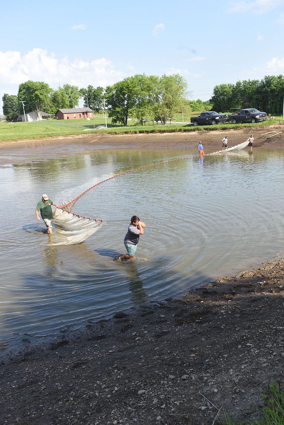 Staff at the Charlie Craig State Fish Hatchery seine a pond to collect walleye fingerlings. Fingerlings are loaded into trucks and transported for stocking at Beaver Lake and other reservoirs.
(NWA Democrat-Gazette/Flip Putthoff)