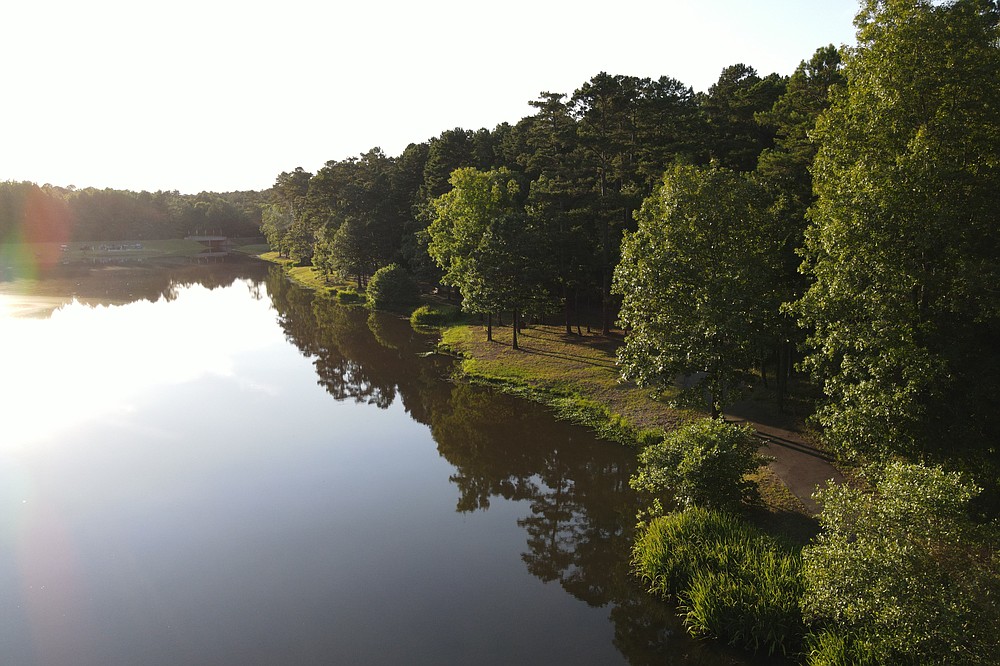 The Richard C. Butler Arboretum reveals the natural beauty of Wildwood Park for the Arts in Little Rock. (Courtesy of Wildwood Park/Jack Smith)