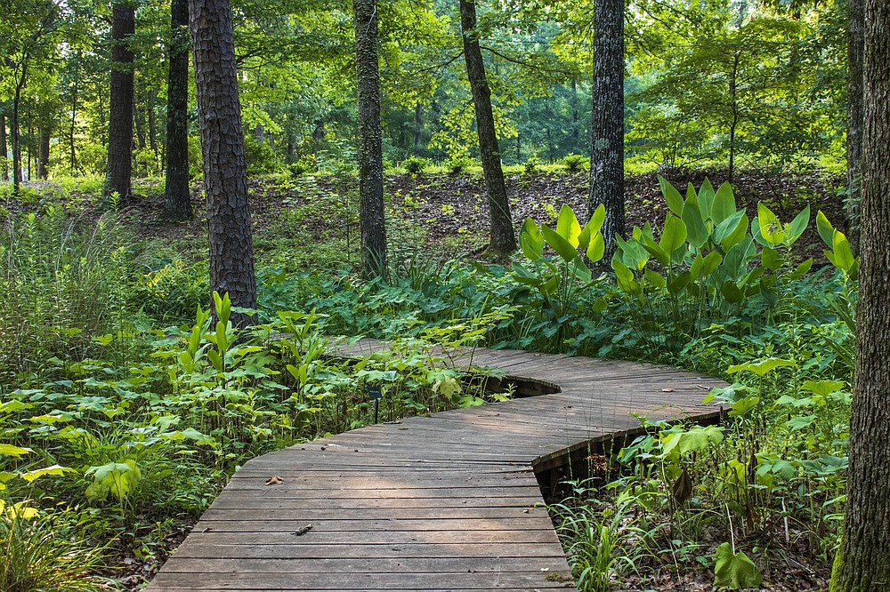 A path through the Asian Woodland Garden at Wildwood Park invites visitors to a leisurely stroll. (Arkansas Democrat-Gazette/Cary Jenkins)