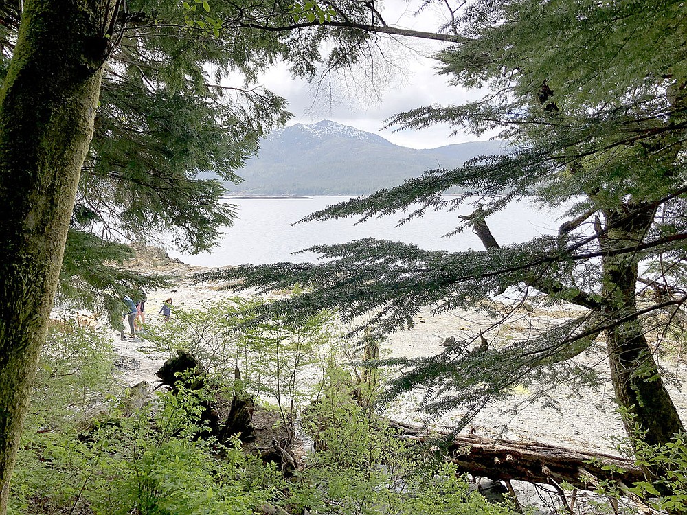 Alaska teaches unexpected lessons