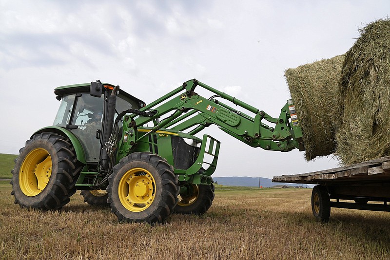 Fourth-generation cattle rancher Pat Stanko loads rounds of hay onto a trailer, Tuesday, July 13, 2021, on his ranch near Steamboat Springs, Colo. Pat's father, Jim Stanko, said due to drought conditions this year, if the family can't harvest enough hay to feed their cattle, they may need to sell off some of their herd. (AP Photo/Brittany Peterson)