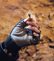 photo thumbnail