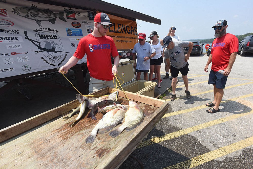 Ryan Peterson, a spearfisherman from Utah, checks in July 22 2021 with his take of catfish, walleye and freshwater drum.
(NWA Democrat-Gazette/Flip Putthoff)