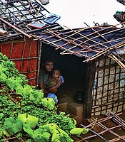 photo thumbnail