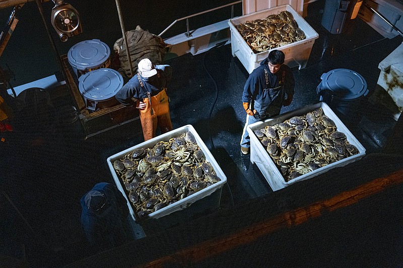 Workers prepare to offload Dungeness crab from a boat on Pier 45 in the Fisherman's Wharf district in San Francisco, California, on Jan. 13, 2021. MUST CREDIT: Bloomberg photo by David Paul Morris.