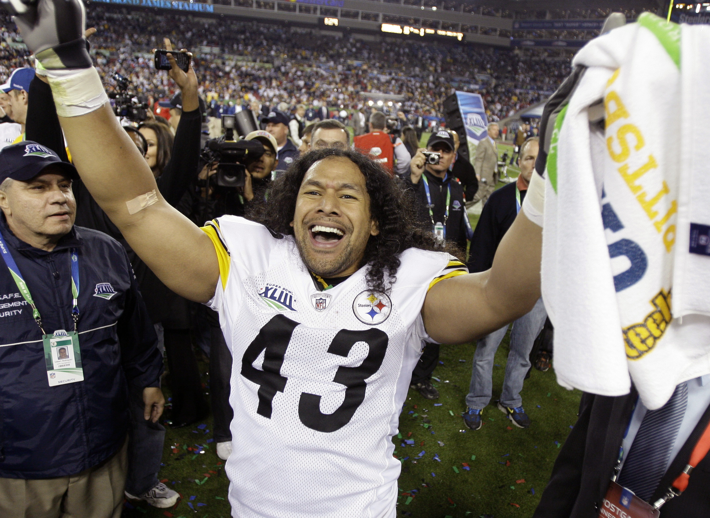 record troy polamalu