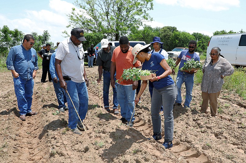 The Beginning Farmers Program provides one-on-one assistance through site visits and consultations to help new farmers with business planning, conservation planning and crop and livestock production. - Submitted photo