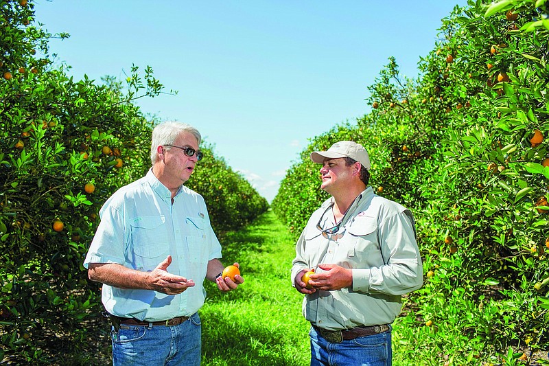 IMAGE DISTRIBUTED BY AP IMAGES FOR PEPSICO - Citrus farmers at PepsiCo's Tropicana Orange Grove in Bradenton, Fla. discuss PepsiCo's commitment to reducing environmental and social impacts while maintaining economic viability for local farmers. (PepsiCo via AP Images)