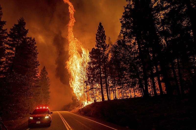 Flames leap from trees as the Dixie Fire jumps Highway 89 north of Greenville in Plumas County, Calif., on Tuesday, Aug. Dry and windy conditions have led to increased fire activity as firefighters battle the blaze which ignited July 14. - AP Photo/Noah Berger