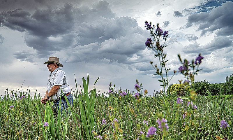 This July 2021 photo shows Paul Skrak, owner of the 55-acre Hidalgo Farm near Santa Fe, N.M., standing in a field of Sudan grass as storm clouds roll in. A portion of Skrak&#x2019;s field was destroyed in recent weeks after rainwater pooled and killed the grass. (Gabriela Campos/Santa Fe New Mexican via AP)