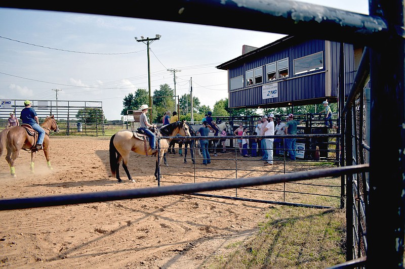 Royalty – Western Saddle Clubs Association, Inc.