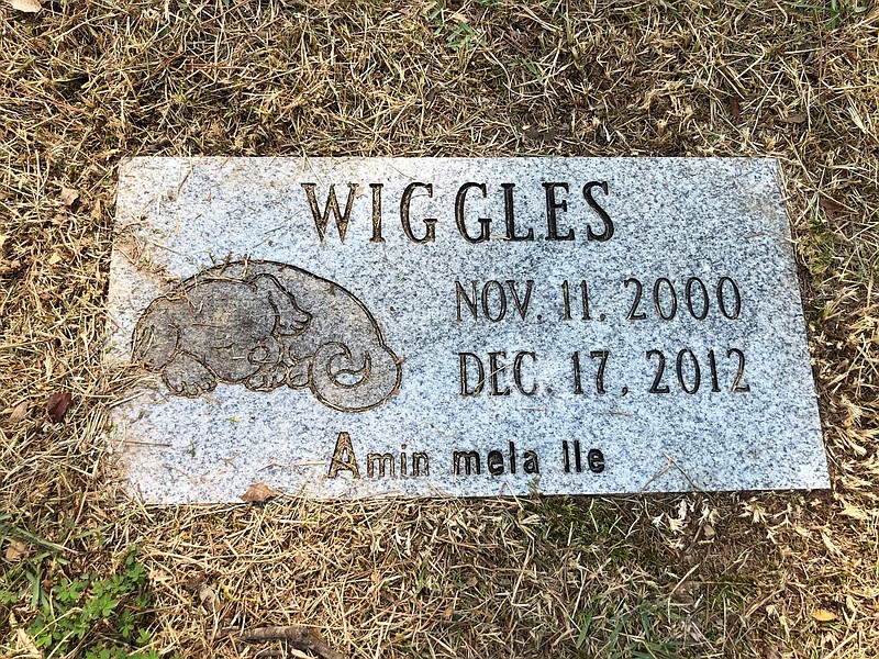 The inscription "Amin mela lle" on the marker for Wiggles (Nov. 11, 2000-Dec. 17, 2012) at Pet Lawn is Elvish for “I love you." (Arkansas Democrat-Gazette/Sean Clancy)