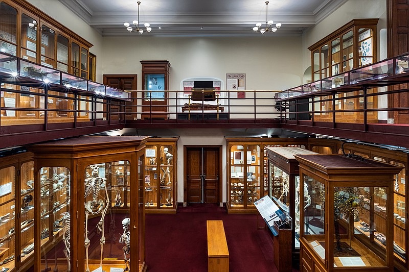 Attention-grabbing exhibits dominate the interior of Philadelphia’s Mutter Museum, a medical-history repository whose apt slogan is “Disturbingly Informed.” (Courtesy of the Historical Medical Library, College of Physicians of Philadelphia)