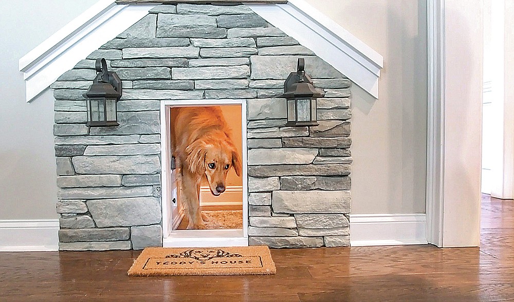 S.C. dog a TikTok star because of his premium doghouse