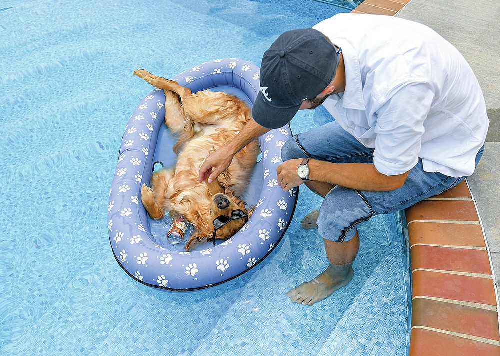 S.C. dog a TikTok star because of his premium doghouse