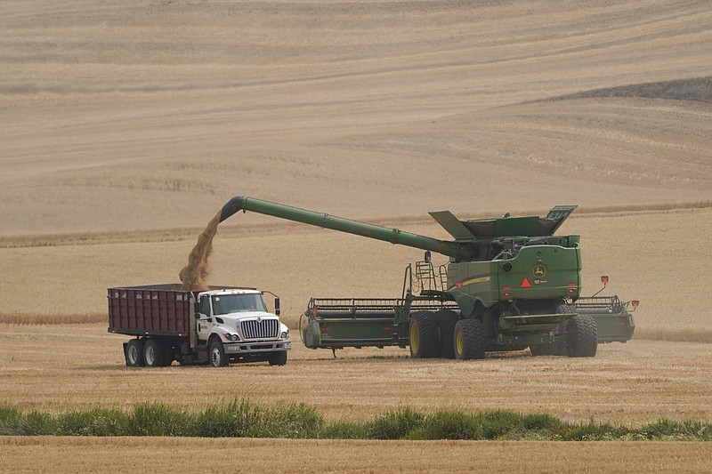 A combine transfers wheat into a grain truck, Thursday, Aug. 5, 2021, near Pullman, Wash.