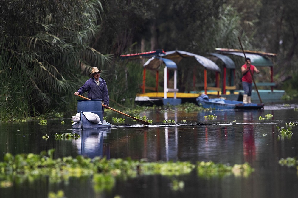 A farmer uses a pole to move his canoe to his floating farm known as "chinampa," in Xochimilco, Mexico City, Thursday, Aug. 12, 2021, as Mexico City prepares for the 500th anniversary of the fall of the Aztec capital of Tenochtitlan. The canals and floating gardens of Xochimilco are the last remnants of a vast water transport system built by the Aztecs to serve their capital of Tenochtitlán. (AP Photo /Marco Ugarte)