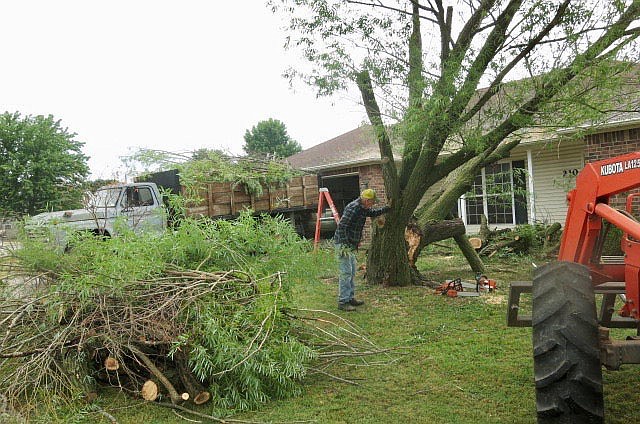 Windstorm causes tree damage in Westfield subdivision