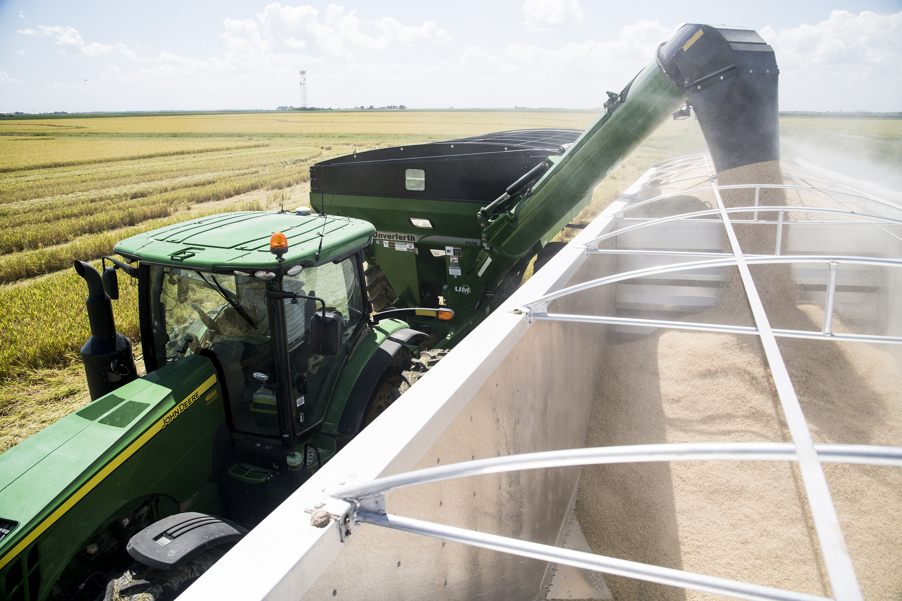 Global rice prices spike during pandemic despite supply