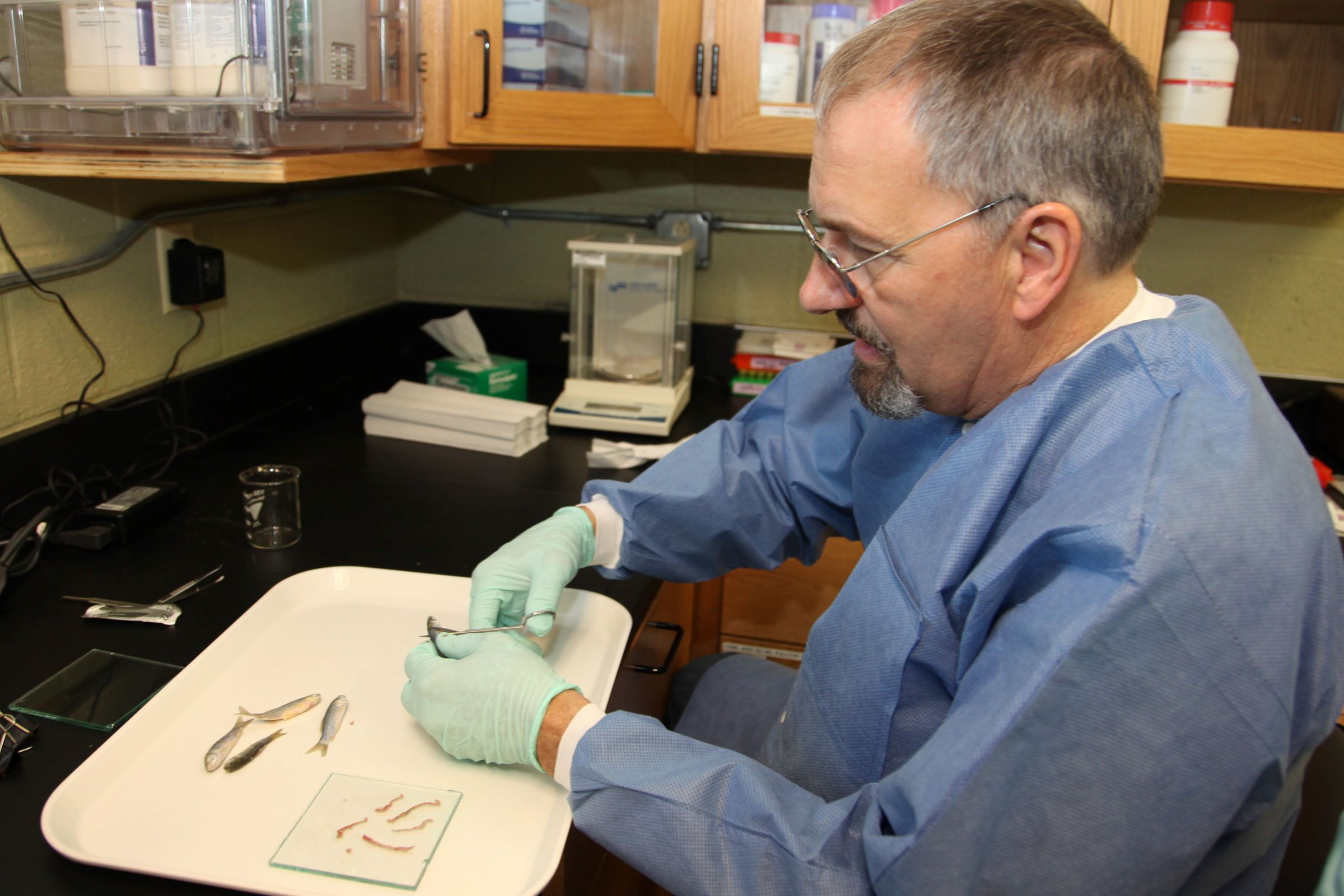 Former researcher at UAPB honored