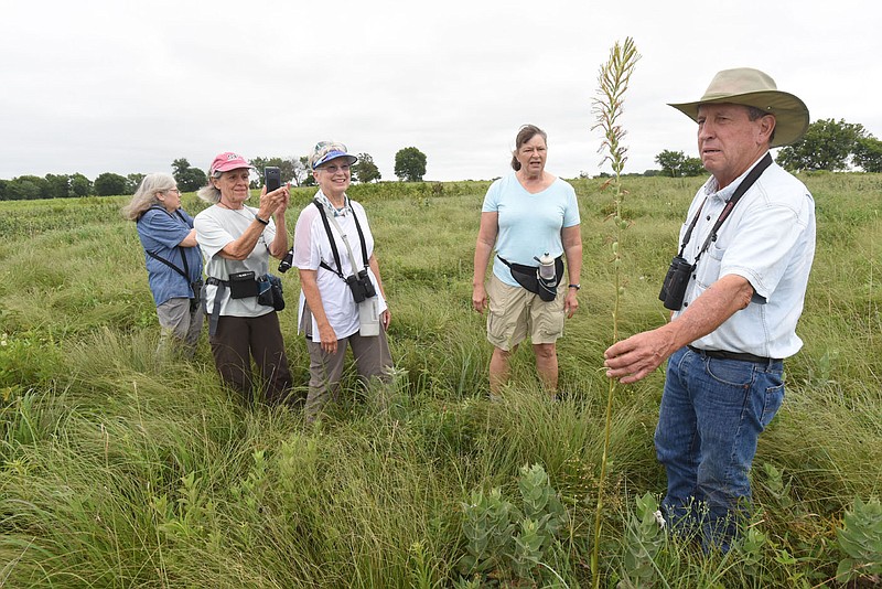 Joe Woolbright, caretaker at Chesney Prairie Natural Area on the east edge of Siloam Springs, talks in July, 2021, about native plants, wildflowers and grasses found on the 83-acre tract.
(NWA Democrat-Gazette/Flip Putthoff)