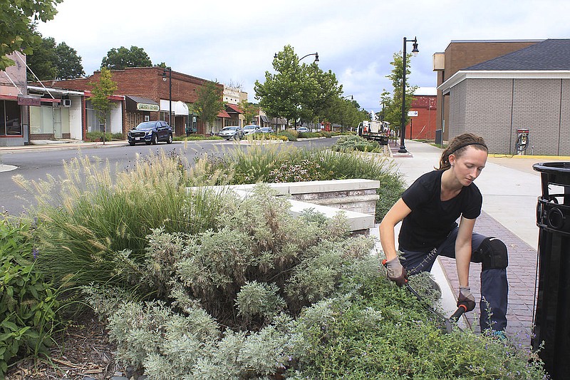 Kaitlyn Nolker of Alma trims shrubs on Thursday, Aug. 19, 2021, in downtown Alma.