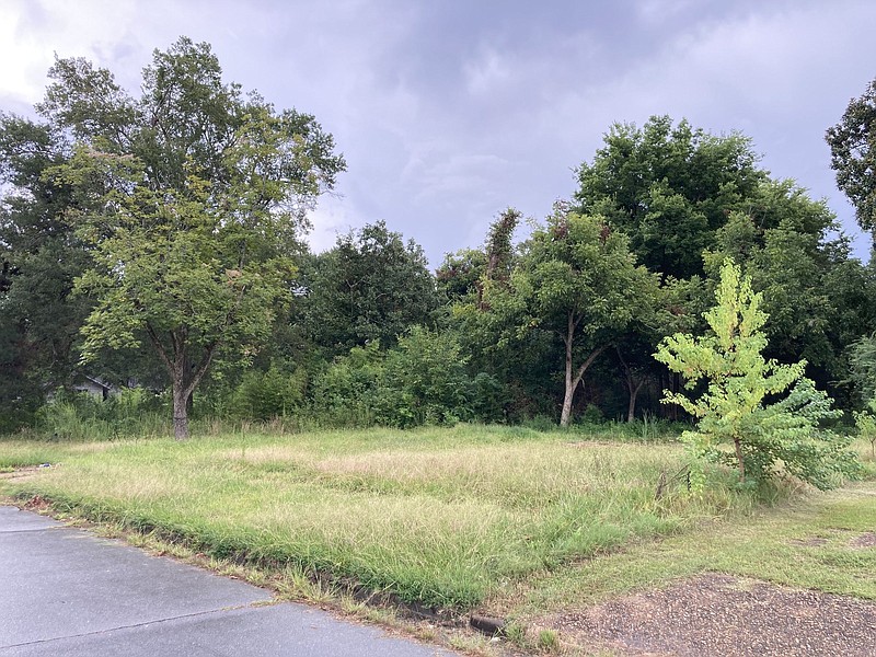 Taxowing property going up for auction The Arkansas DemocratGazette