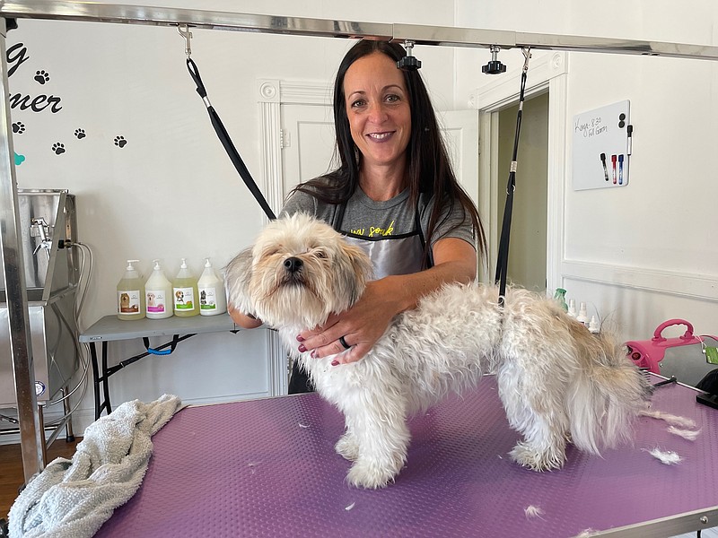 Spa 4 paws sales grooming