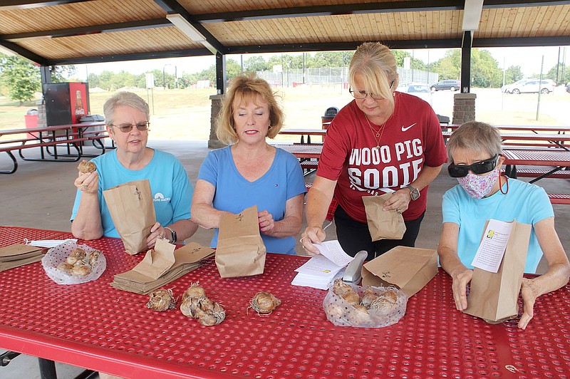 LYNN KUTTER ENTERPRISE-LEADER
Arlene Stilwell, left, Diane Bryant, Jill Simpson and Judy Horne, all members of Farmington Garden Club, place daffodil bulbs in bags. The club will give away free bulbs to visitors at the Farmington Fall Festival on Saturday at Creekside Park in Farmington.