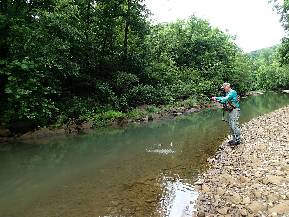 Small water produced good fishing for Pat Bodishbaugh in July 2021 on the upstream reaches of the Kings River. Sunfish and smallmouth bass were eager to bite on his fishing afternoon.
(NWA Democrat-Gazette/Flip Putthoff)