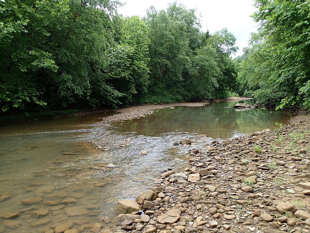 Summertime is fishing time for Bodishbaugh when the flow is low on Ozark streams. Low water on the Kings River in July 2021 was a welcome sight for Bodishbaugh when he arrived at the stream.
(NWA Democrat-Gazette/Flip Putthoff)