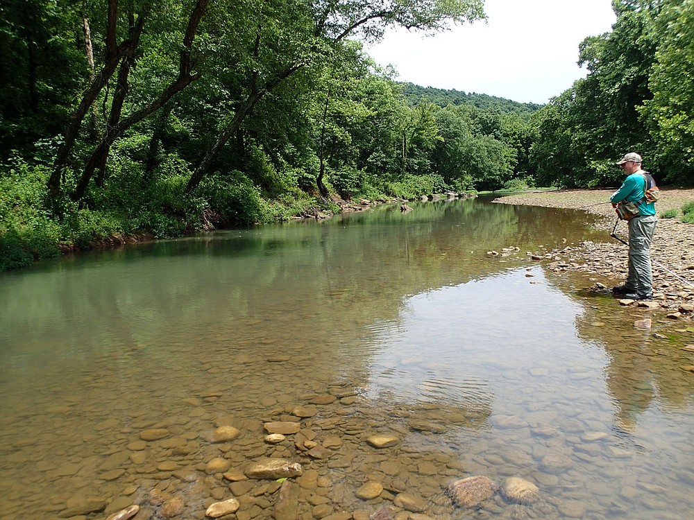 A pool may hold sunfish and smallmouth bass on the Kings River. Bodishbaugh works an oasis of water in July 2021 near Kingston.
(NWA Democrat-Gazette/Flip Putthoff)